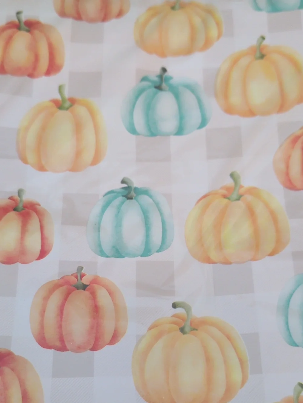 25 10 X 13 Pumpkins Polymailers